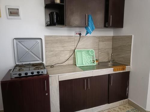 モンバサにあるAffordable neat studio furnished apartment in Mtwapaのキッチン(シンク、カウンターのノートパソコン付)