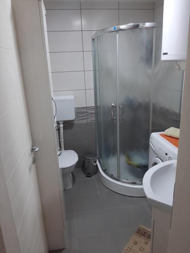 y baño con ducha, aseo y lavamanos. en Apartman-Glavas, en Smederevska Palanka