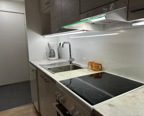 Kuchyň nebo kuchyňský kout v ubytování Modern and Cozy Sauna Apartment