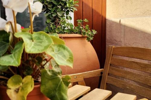 een tafel met een potplant naast een stoel bij Vintage & Deluxe Apartments in Puerto del Rosario