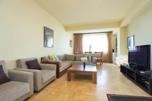 AM Apartments 1 في يريفان: غرفة معيشة مع أريكة وتلفزيون