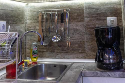 encimera de cocina con fregadero y batidora en Cozy Apart TOP Center AUBG Free Garage Park, en Blagoevgrad