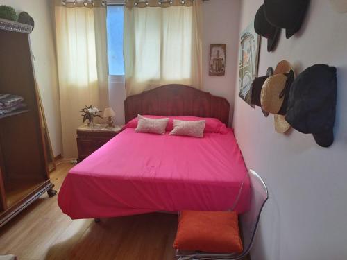 a pink bed with two pillows in a bedroom at Casa en el río in Gelves