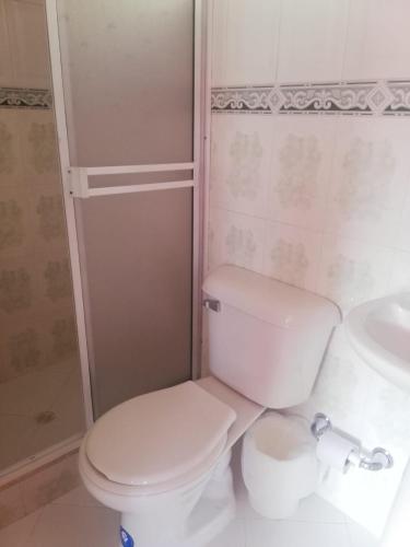 a bathroom with a toilet and a shower and a sink at Cabaña Campestre Santa Helena in Choachí