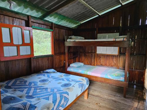 1 dormitorio con 2 literas y ventana en Hostal Bahía Solano Herping en El Valle