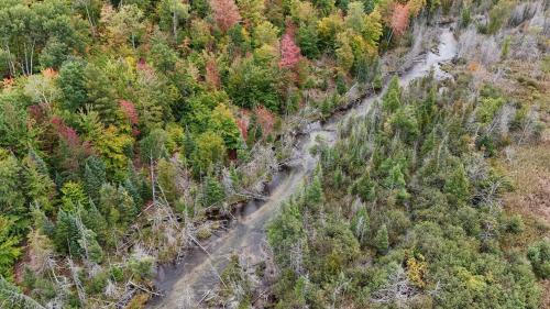 an aerial view of a forest in the fall at Family Home in Rapid City about 4 Mi to Torch Lake! in Rapid City