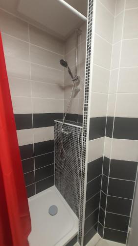 La salle de bains est pourvue d'une douche et de carrelage noir et blanc. dans l'établissement JOLI T2 DANS UN ECRIN DE VERDURE n 2, à Digne-Les-Bains