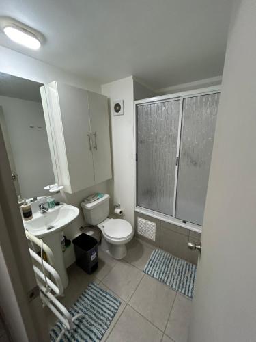La salle de bains est pourvue de toilettes, d'un lavabo et d'une douche. dans l'établissement Cómodo Dpto en Curicó, à Curicó