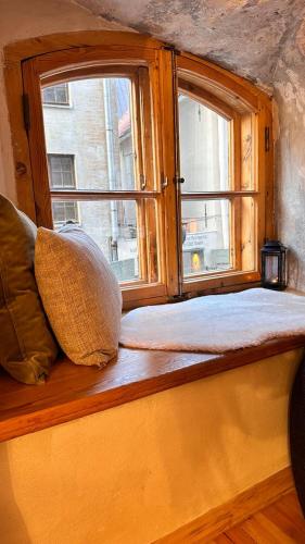 a window seat with two pillows sitting in front of it at Атмосферные апартаменты в Старой Риге (центр) in Rīga