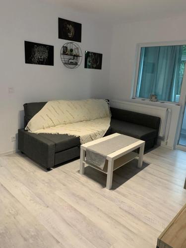 uma sala de estar com uma cama e uma mesa de centro em Cazare barlad em Bîrlad