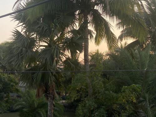 a group of palm trees in a forest of trees at Tapama Resort Bakkhali in Bakkhali