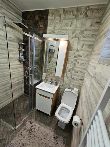 a bathroom with a toilet and a sink and a shower at AeroVista Apartment in Surčin