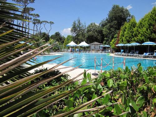 una gran piscina con sillas y sombrillas en Mobile home / Chalet Viareggio - Camping Paradiso Toscane, en Viareggio