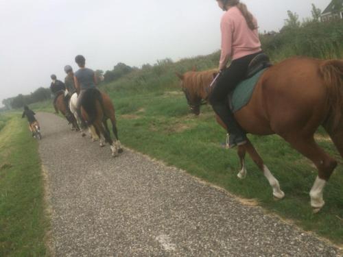 um grupo de pessoas andando a cavalo por uma estrada em gouwzicht em Amesterdão