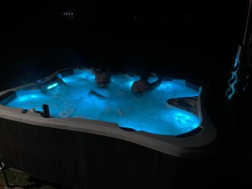 a group of people in a swimming pool at night at Villa Ievynė in Paežeriai