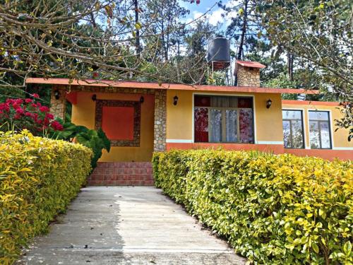 una casa con un camino que conduce a ella en Hotel Villa De Las Flores en Zacatlán