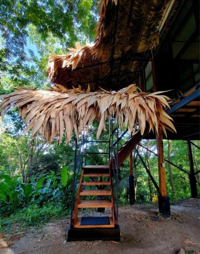 TreeTopMansion – Photos 2