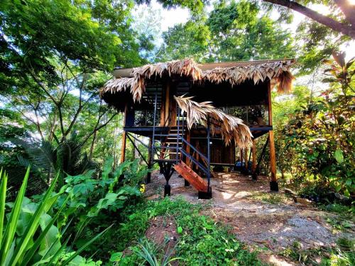 TreeTopMansion
