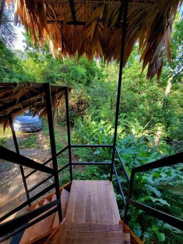 TreeTopMansion – Photos 3