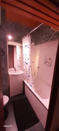 uma casa de banho com uma banheira, um lavatório e um WC. em studio-cabine 4 pers, wifi et garage. em Ax-les-Thermes