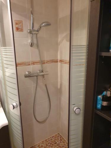La salle de bains est pourvue d'une douche avec une porte en verre. dans l'établissement La petite Camargue, au Grau-du-Roi