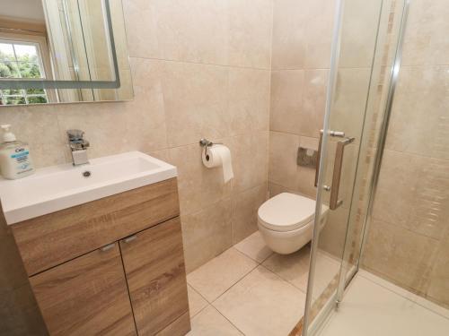 a bathroom with a toilet and a sink and a shower at The Penthouse in Helston