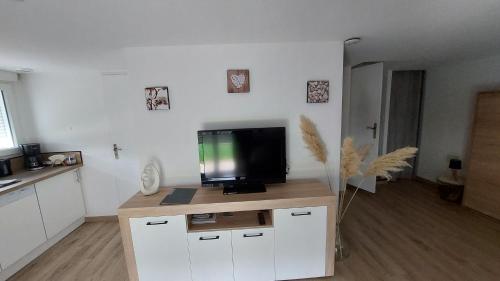 TV a/nebo společenská místnost v ubytování Le studio du Doux