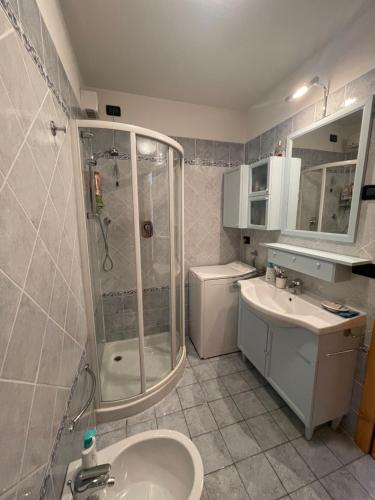 a bathroom with a shower and a sink and a toilet at Appartamento la Regina del Lago in Molveno