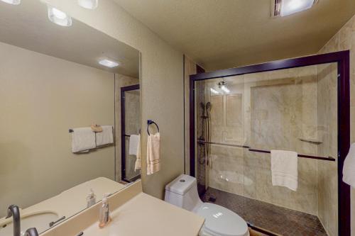 a bathroom with a shower and a toilet and a sink at Purgatory Perch in Durango Mountain Resort