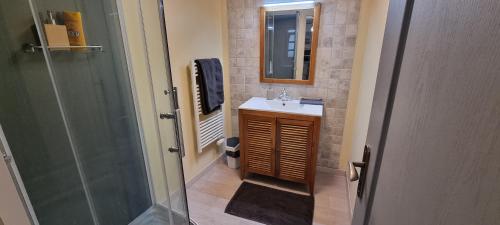 La petite salle de bains est pourvue d'un lavabo et d'une douche. dans l'établissement Authentique Maison Sétoise 2 chambres Patio Proximité Parking Climatisation, à Sète