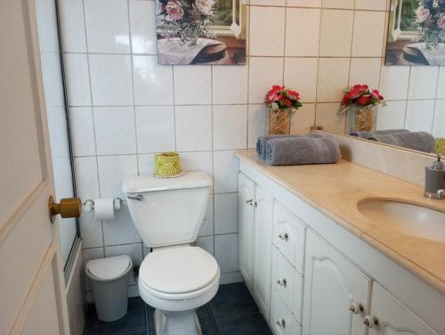 a bathroom with a toilet and a sink at Hostal Rucatremo in Curicó