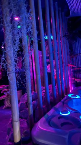 Φωτογραφία από το άλμπουμ του La Terrasse Des Spas - Restaurant - Institut Massage σε Hazebrouck