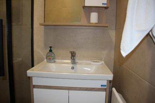 a bathroom with a white sink and a shower at Apartman Mist - Bela Reka Kopaonik in Brzeće