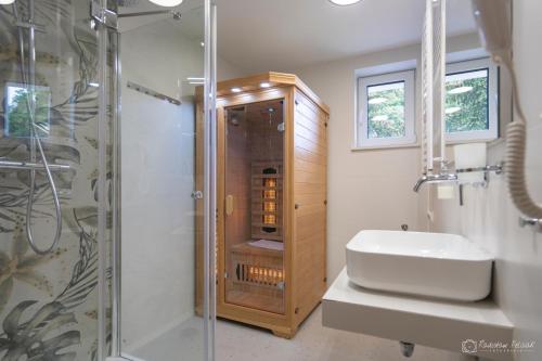 a bathroom with a shower and a sink and a toilet at Willa Rosa-apartamenty z prywatną sauną in Szklarska Poręba