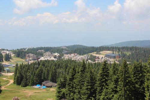 a group of trees on a hill with houses at Apartman Mist - Bela Reka Kopaonik in Brzeće