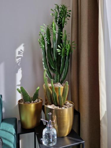 a group of cactus plants in gold pots on a table at 7thHeaven centre suite FREE PARKING in the building in Bratislava