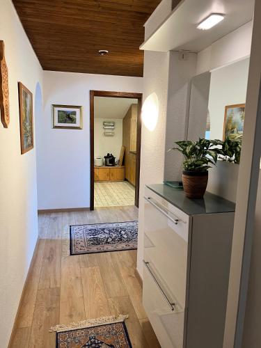 a kitchen with a counter with a potted plant on it at Alpenblick Loft neben Skilift in Amden Arvenbüel in Amden