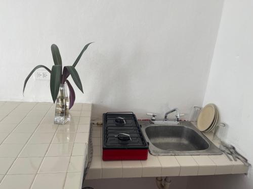 a kitchen counter with a stove and a sink at Apartamentos Cupules in Mérida
