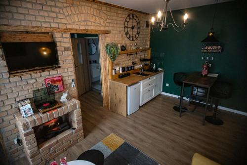 cocina con sala de estar con chimenea en Czocha Studio Apartment en Leśna