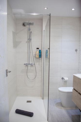 a shower with a glass door in a bathroom at BURGO NUEVO Ático de lujo en pleno centro con terraza y vistas - leonapartamentos in León