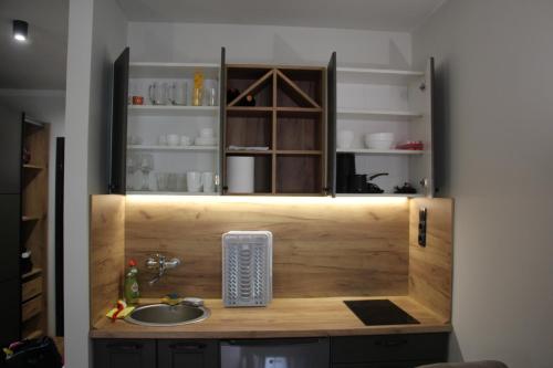 a bathroom counter with a sink and a cabinet at Apartman Mist - Bela Reka Kopaonik in Brzeće