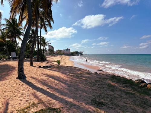 a sandy beach with palm trees and the ocean at OMERO Ocean Park in San Juan