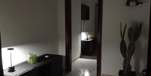 a room with a mirror and a table with a plant at RUDIAE Palace In Lecce in Lecce