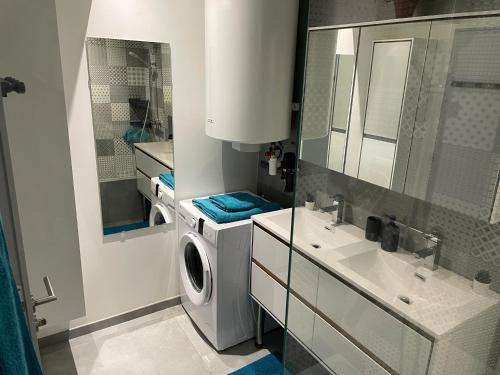 ein Badezimmer mit einer Waschmaschine und einem Waschbecken in der Unterkunft Appartement Cocooning entre lacs et montagnes in Saint-Alban