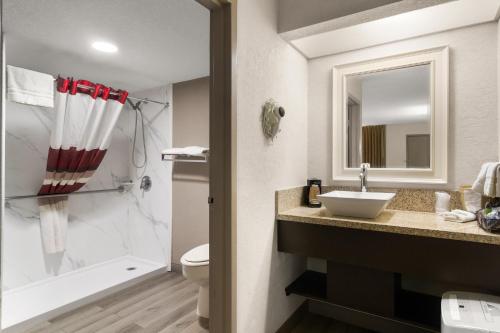 a bathroom with a sink and a tub and a toilet at Red Roof Inn Kingsland in Kingsland