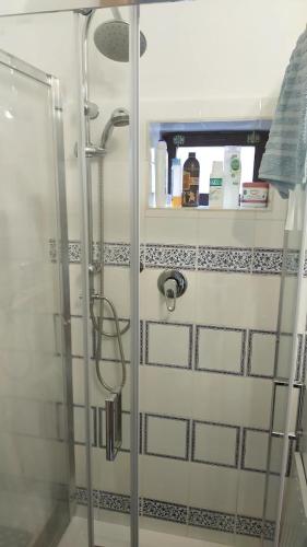 a shower with a glass door in a bathroom at Casa Gaia in San Giuliano Terme
