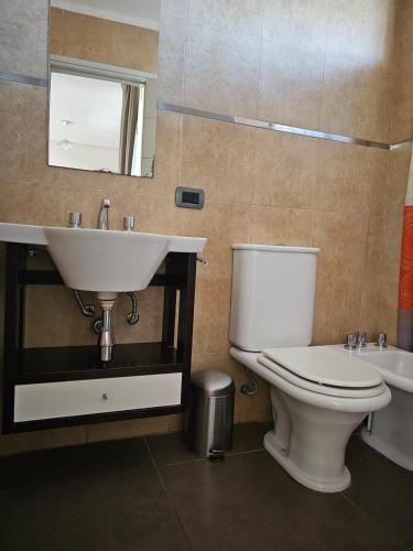 a bathroom with a sink and a toilet and a mirror at Alquiler Maipú Mendoza in Maipú