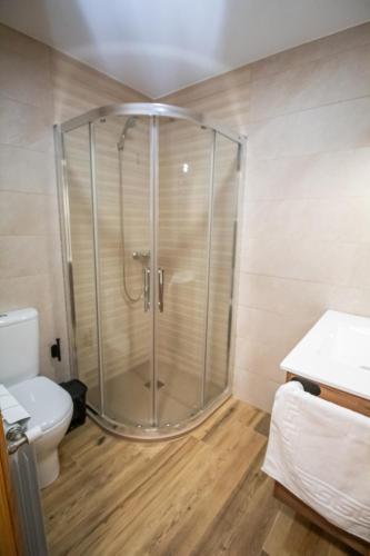 a shower stall in a bathroom with a toilet at Apartamentos 7 puentes sierra Cazorla Los 2 Dúplex in Burunchel