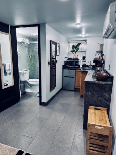 a kitchen with a sink and a bathroom with a toilet at Chicago - Pilsen Studio apartment - Unit B in Chicago