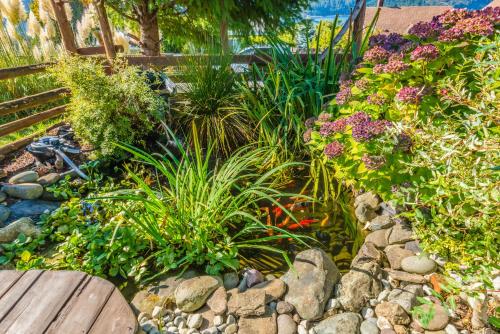a garden with plants and rocks and a wooden bench at Outdoor Lovers in Port Alberni